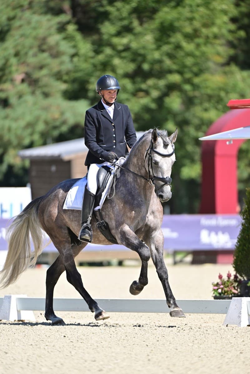 CONSERVATOIRE FRANCAIS LIPIZZAN — photo 1