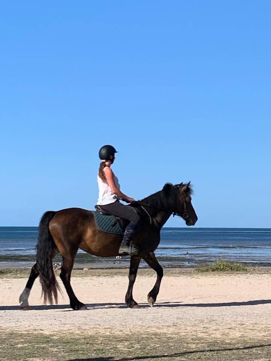 COURSEULLES EQUITATION — photo 1