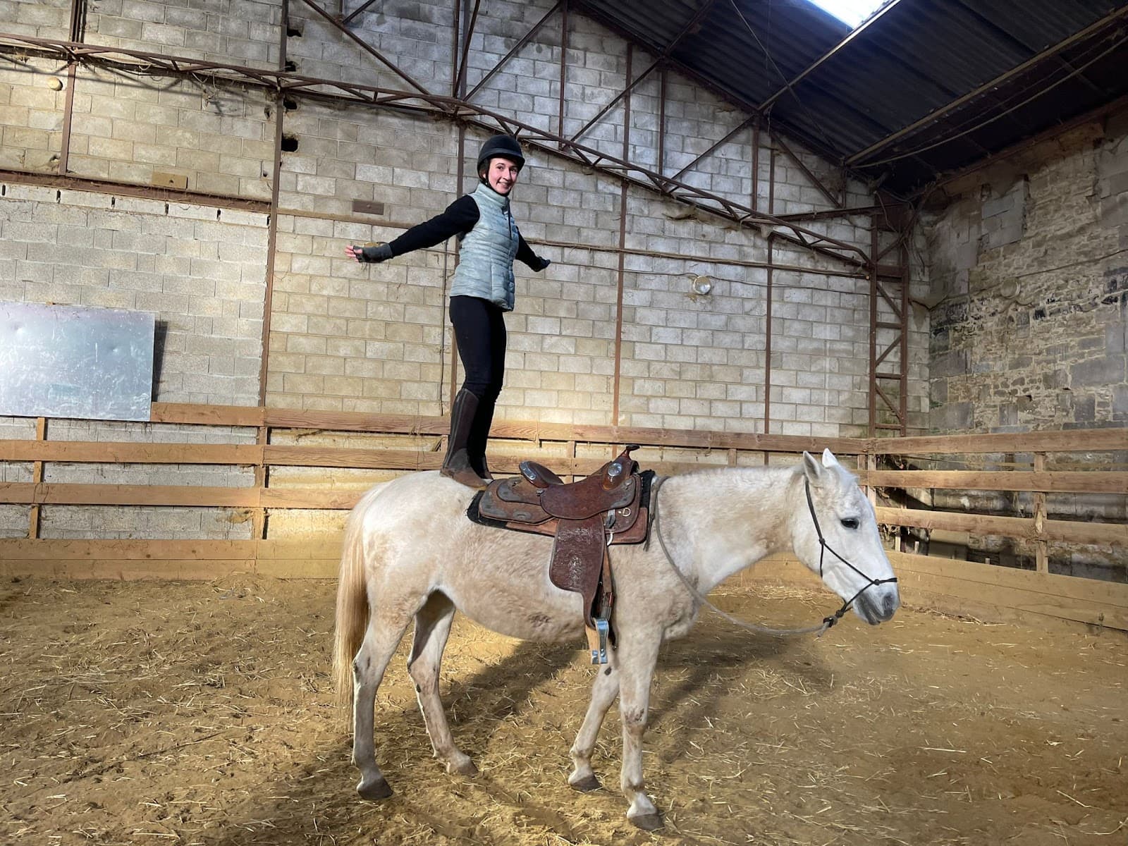 CR HORSE TRAINING — photo 1