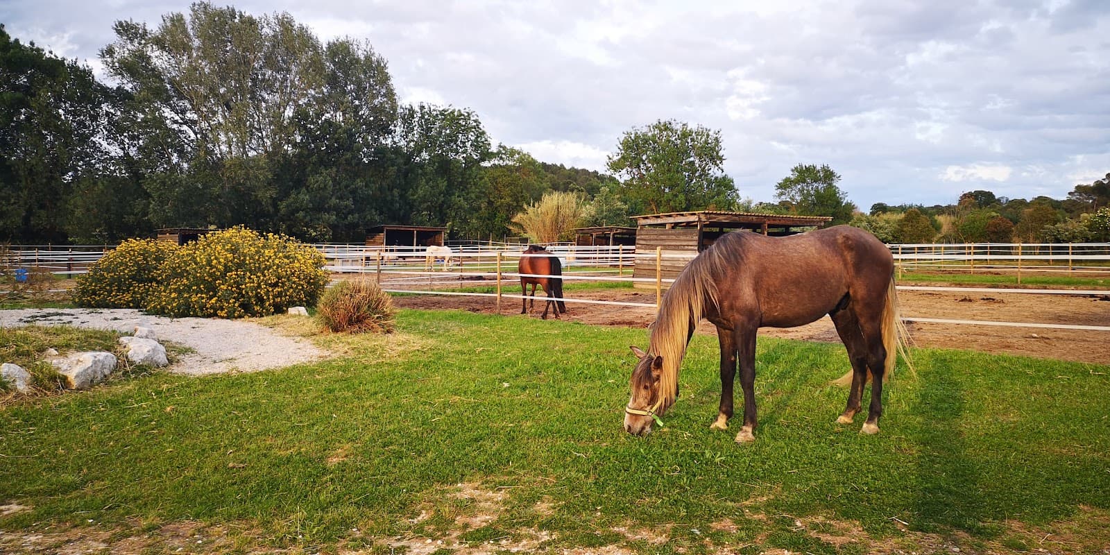 CTRE EQUESTRE LES ECURIES DE LA COLOMBE — photo 1