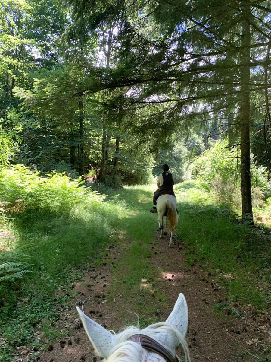 CTRE TOURISME EQUESTRE LA CROUPADE — photo 1