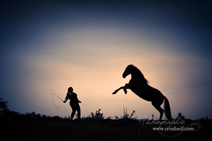 DEL AEL — photo 1