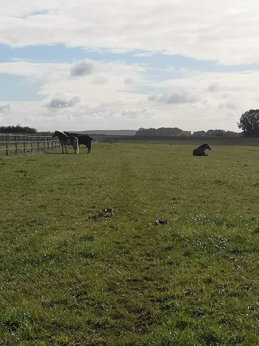 DOMAINE DE GADANCOURT LES ECURIES — photo 1