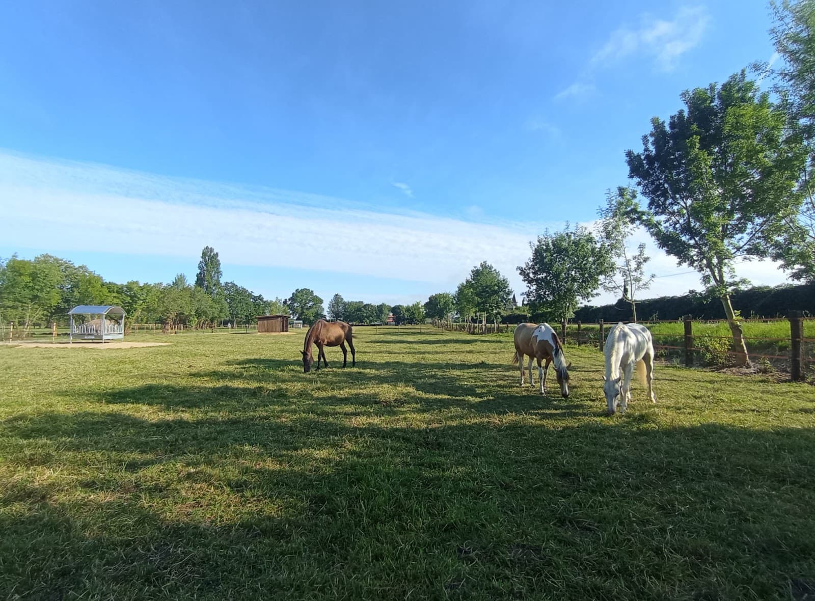 DOMAINE DE PRIKA — photo 1