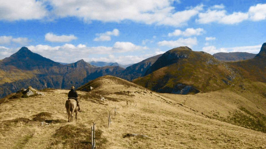 DOMAINE DE VIAYE — photo 1
