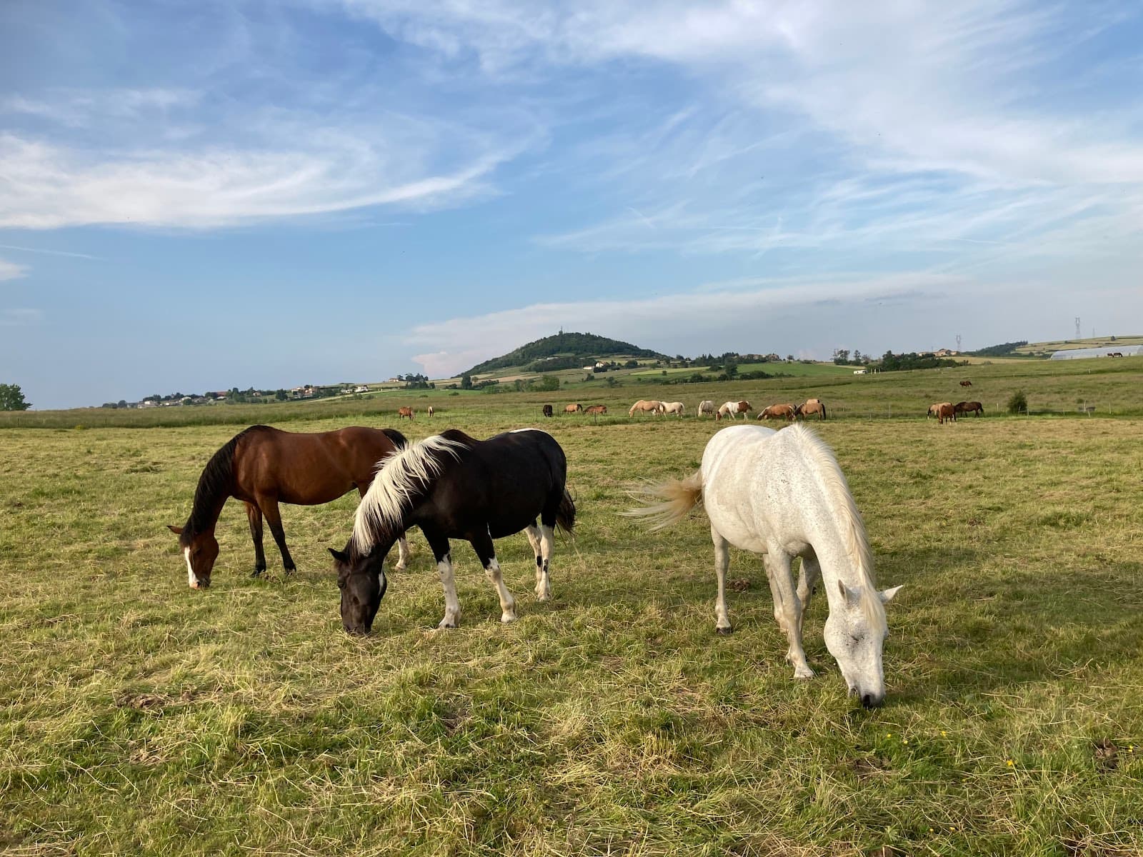 DOMAINE DES FAN FAON — photo 1