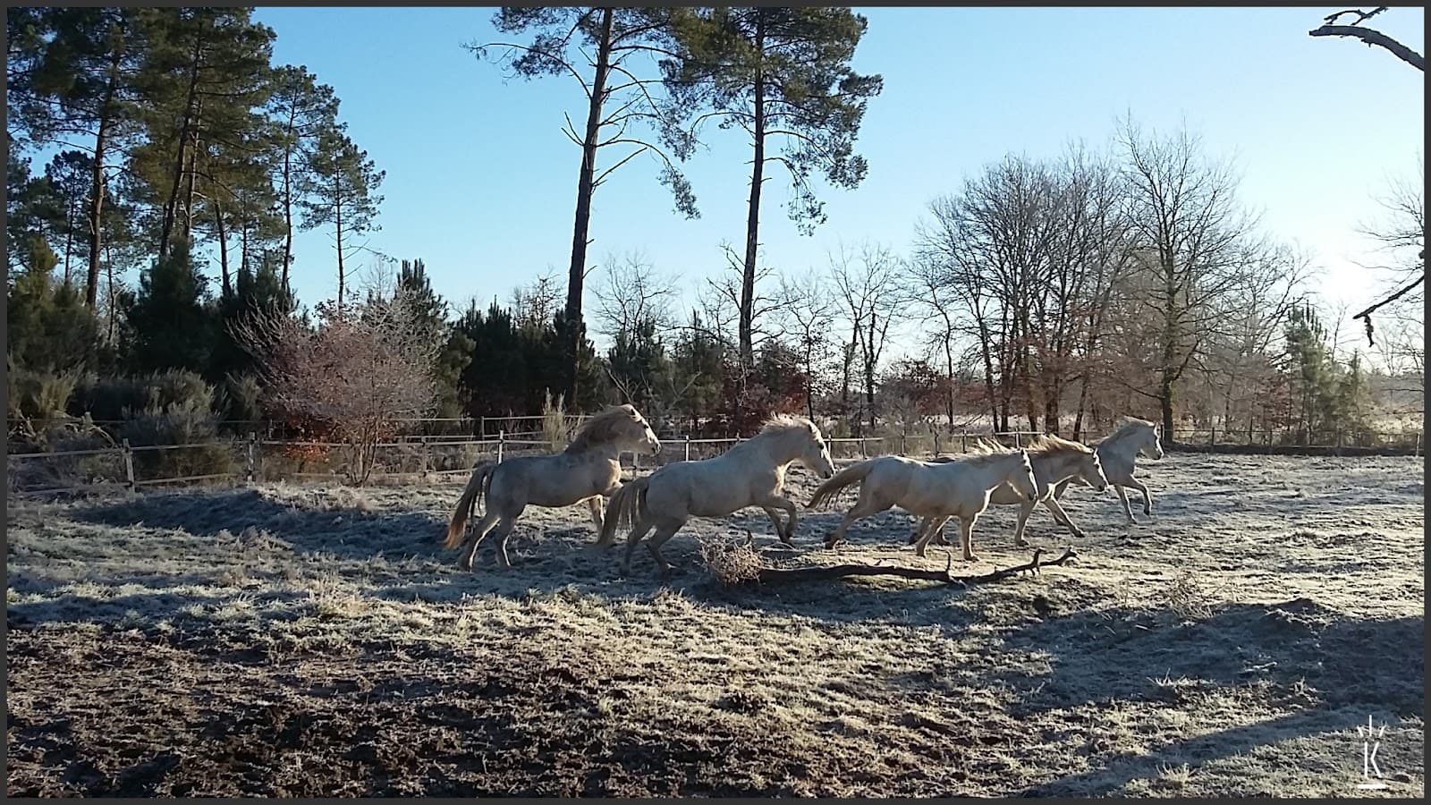 DOMAINE DU CELTIS — photo 1