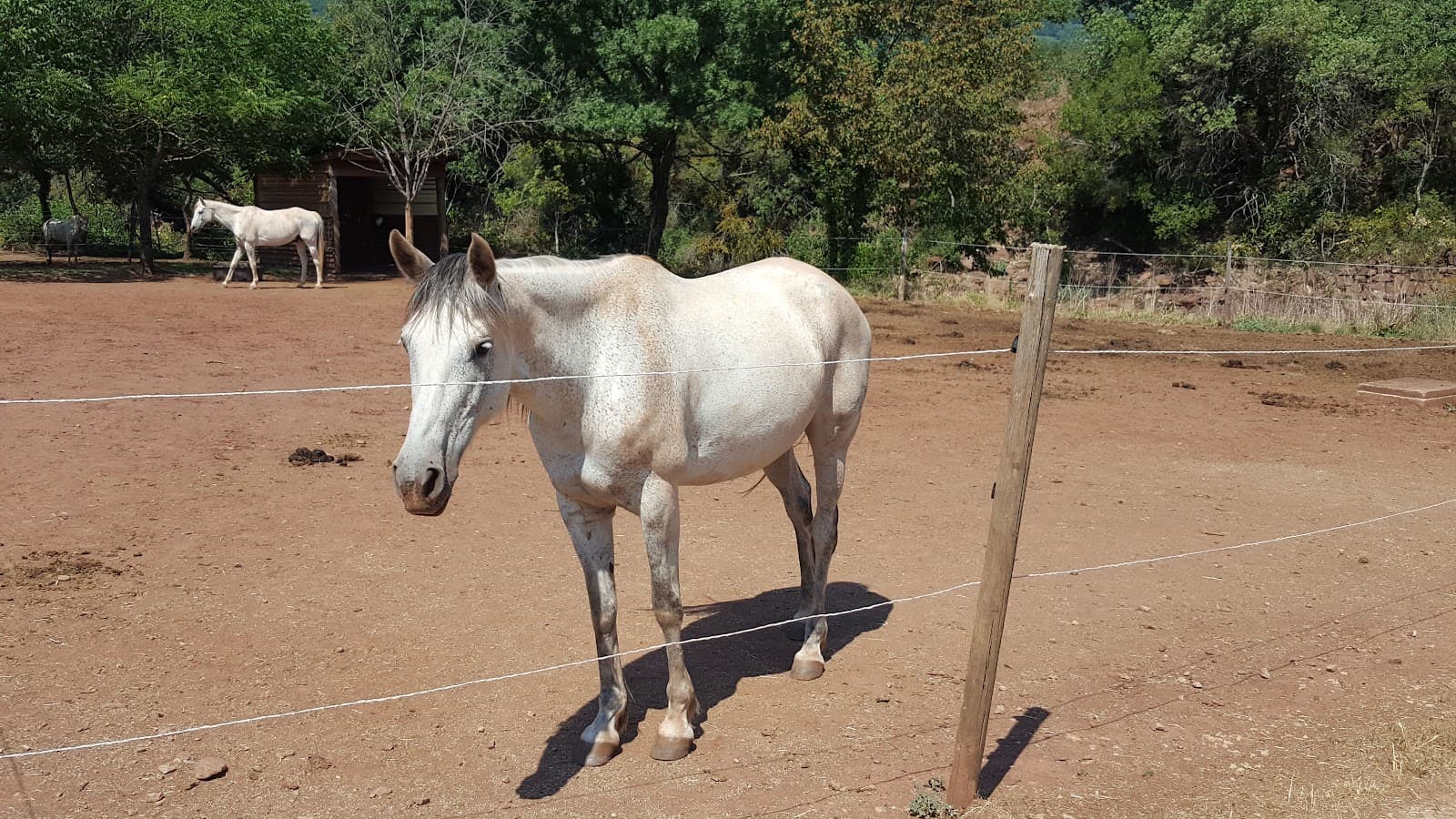 DOMAINE DU MOULIN — photo 1
