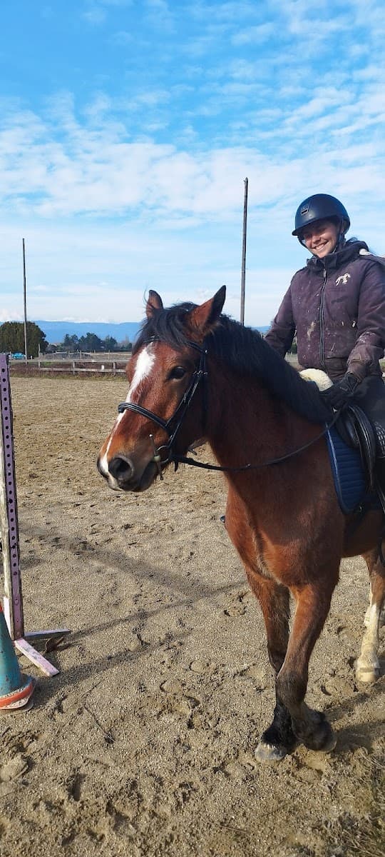 DOMAINE EQUESTRE DES PENTES — photo 1