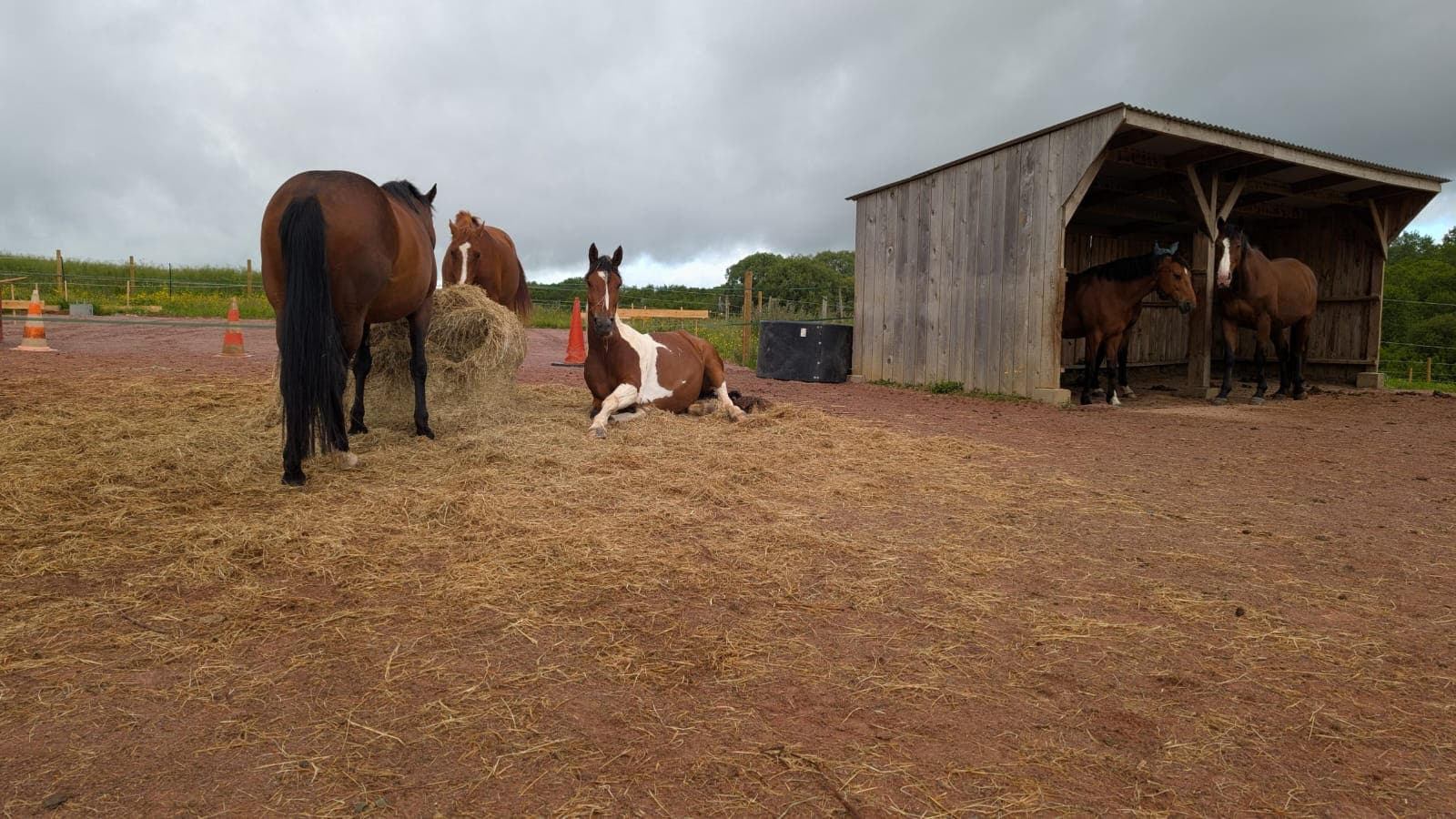 DOMAINE EQUESTRE DU DAN — photo 1