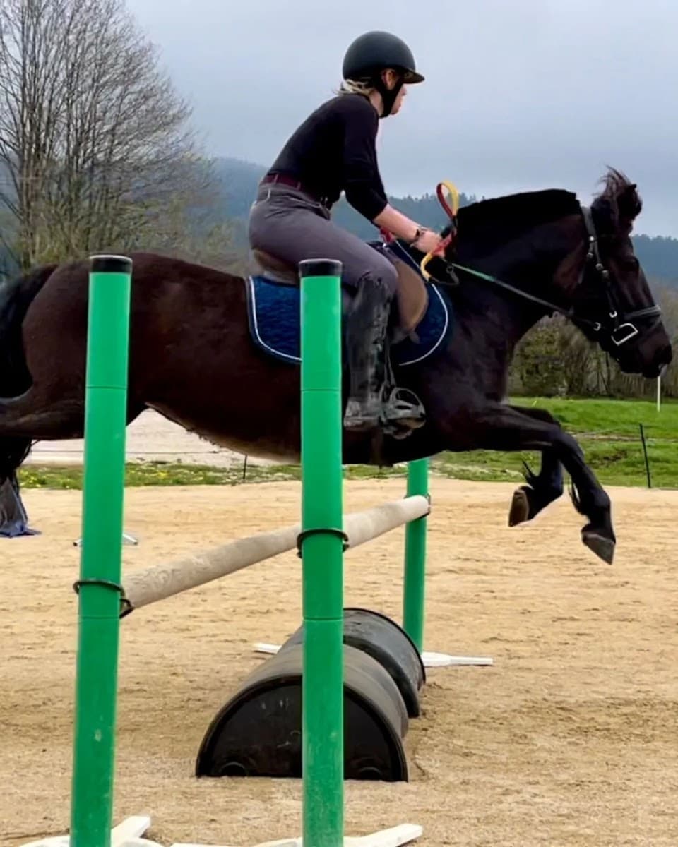 DOMAINE EQUESTRE LA MAURINIERE — photo 1