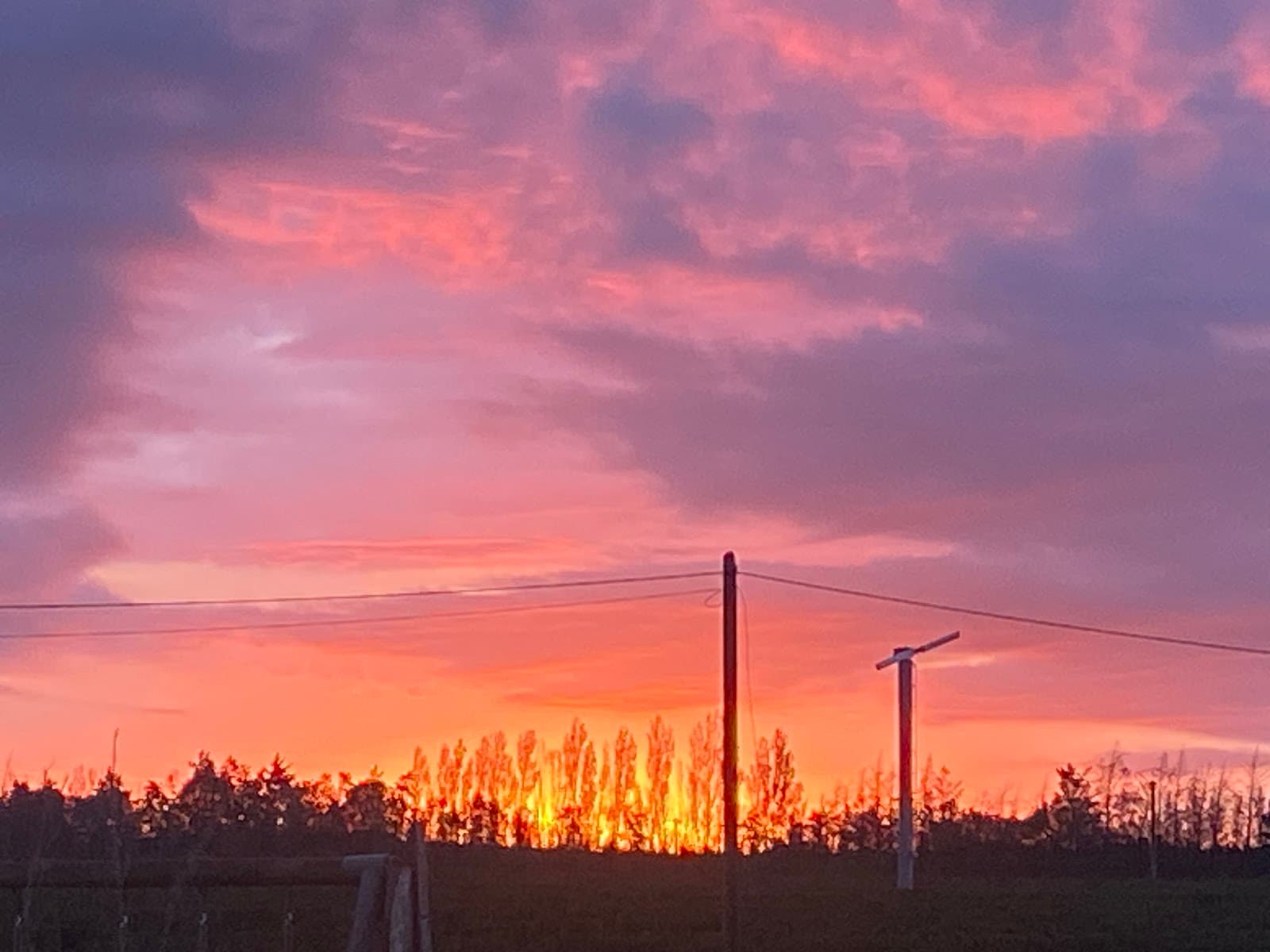 DOMAINE HIPPIQUE DE LA COMBE DE BOURDIE — photo 1