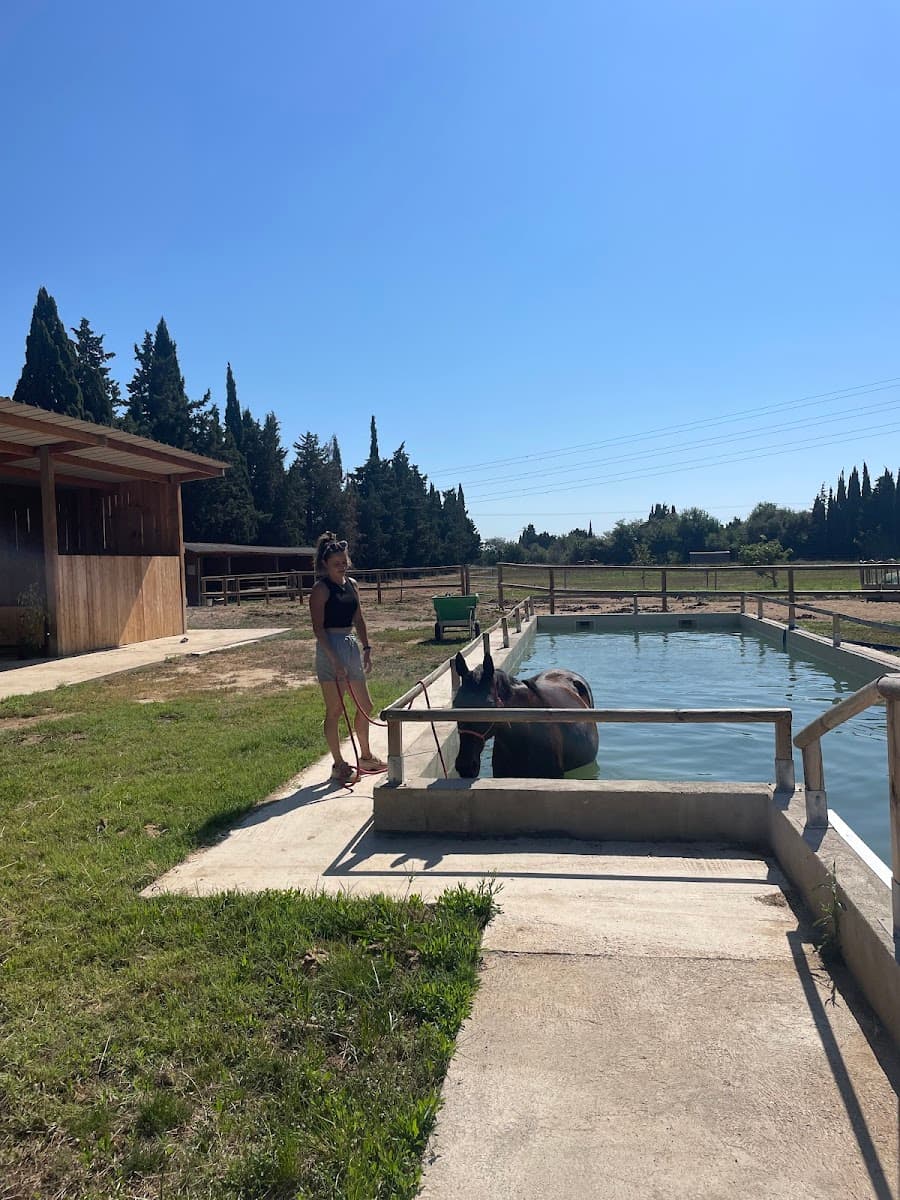 DOMAINE LES FIGUIERS — photo 1