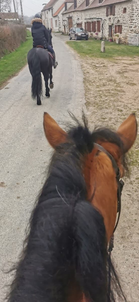 EARL DOMAINE EQUESTRE DU THEIL — photo 1