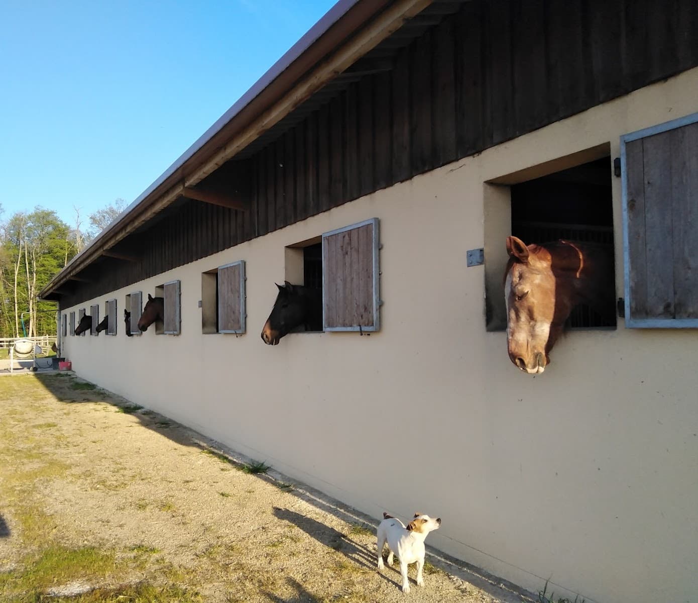 EARL DU ROCHER DE MONTMELIAN — photo 1
