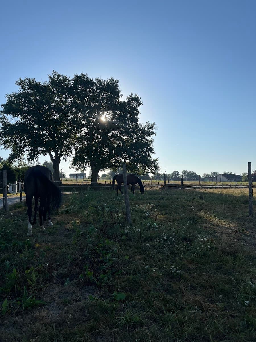 EARL LE HAUT DES BOIS — photo 1