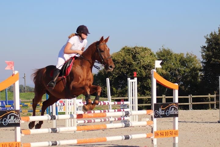 EARL LES ECURIES DE LANCELOT — photo 1