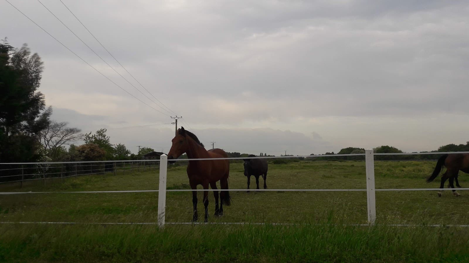 ECURIE AUDREY CHAGNEAU — photo 1