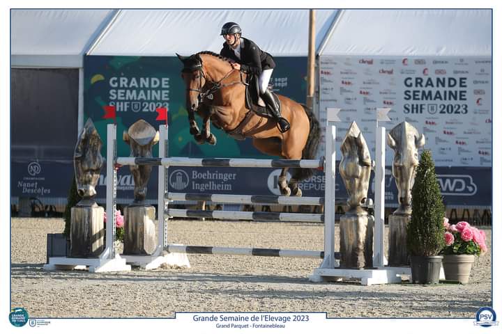 ECURIE DAVID GESQUIERE — photo 1