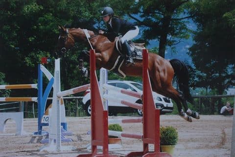 ECURIE DE CHALENDRAT — photo 1