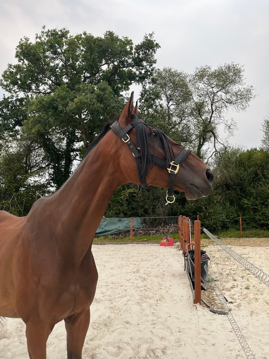 ECURIE DE L ELLEZ — photo 1