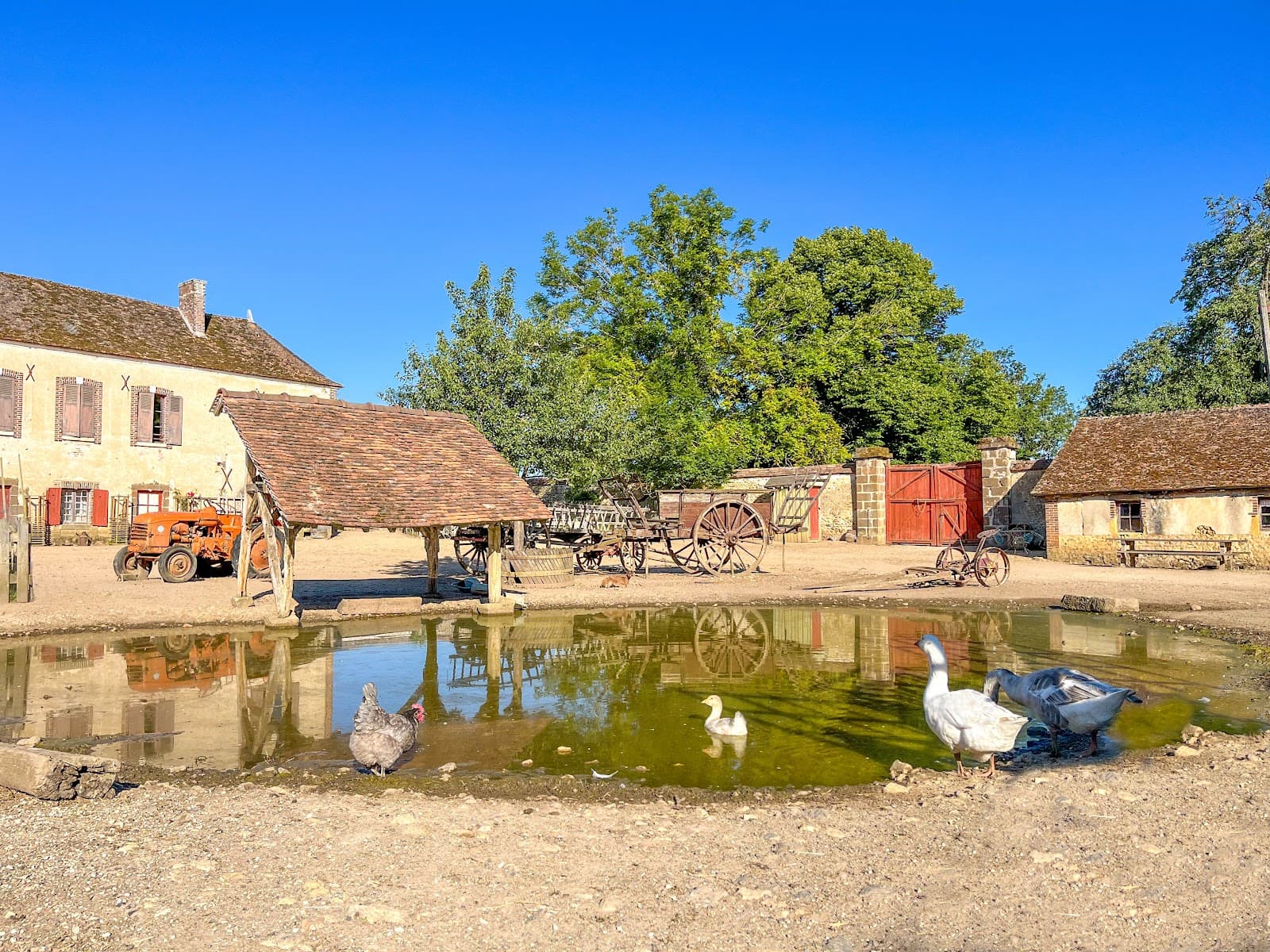 ECURIE DE LA FERME DU CHATEAU — photo 1