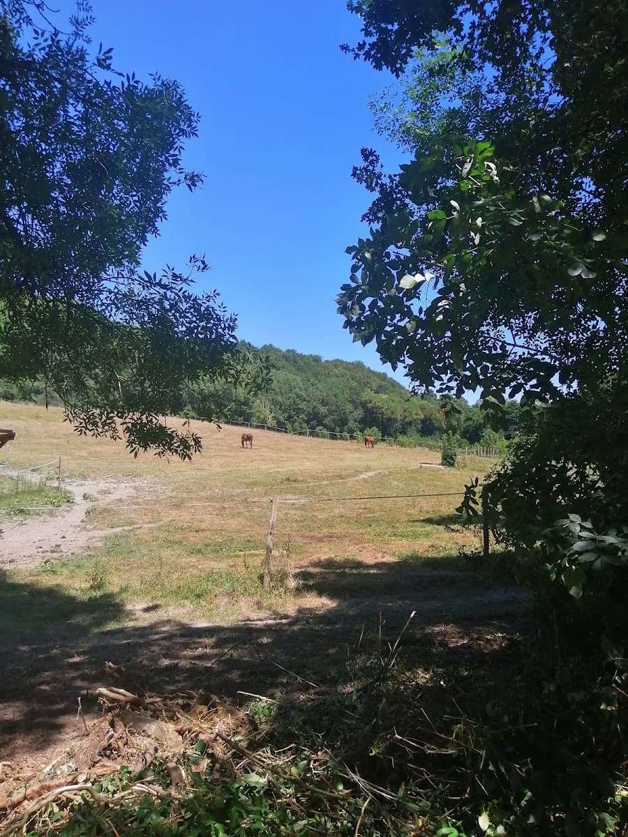 ECURIE DE LA TEOULERE — photo 1