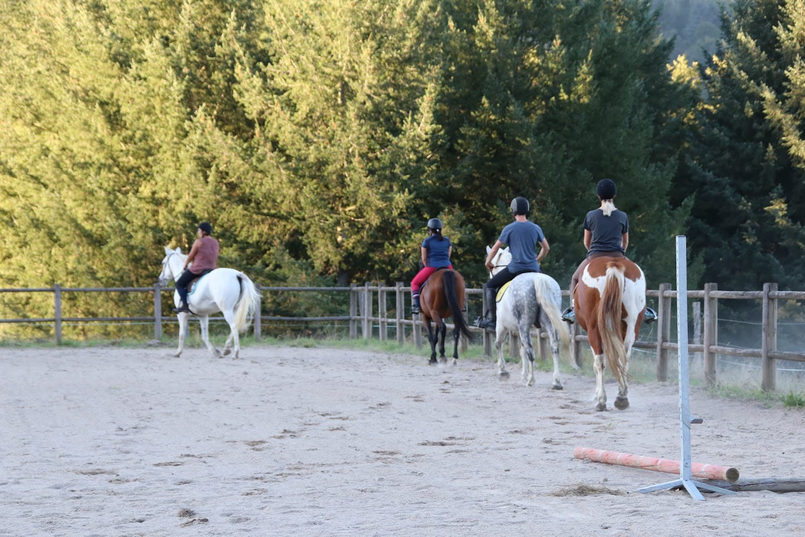 ECURIE DES BALZANES — photo 1