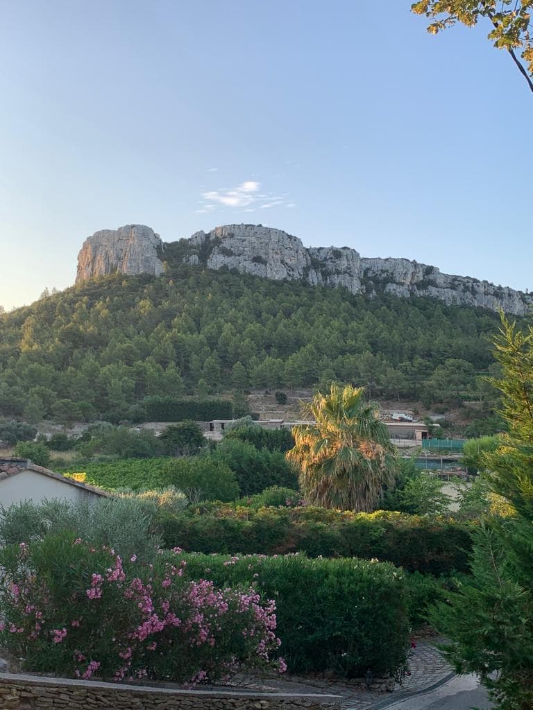 ECURIE DES BASTIDES — photo 1