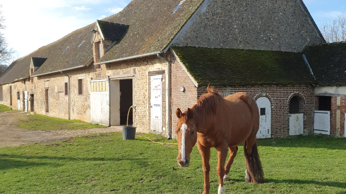 ECURIE DES CLOTINS — photo 1