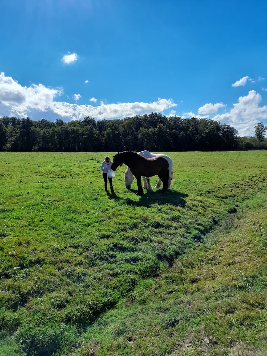 ECURIE DES ETANGS — photo 1