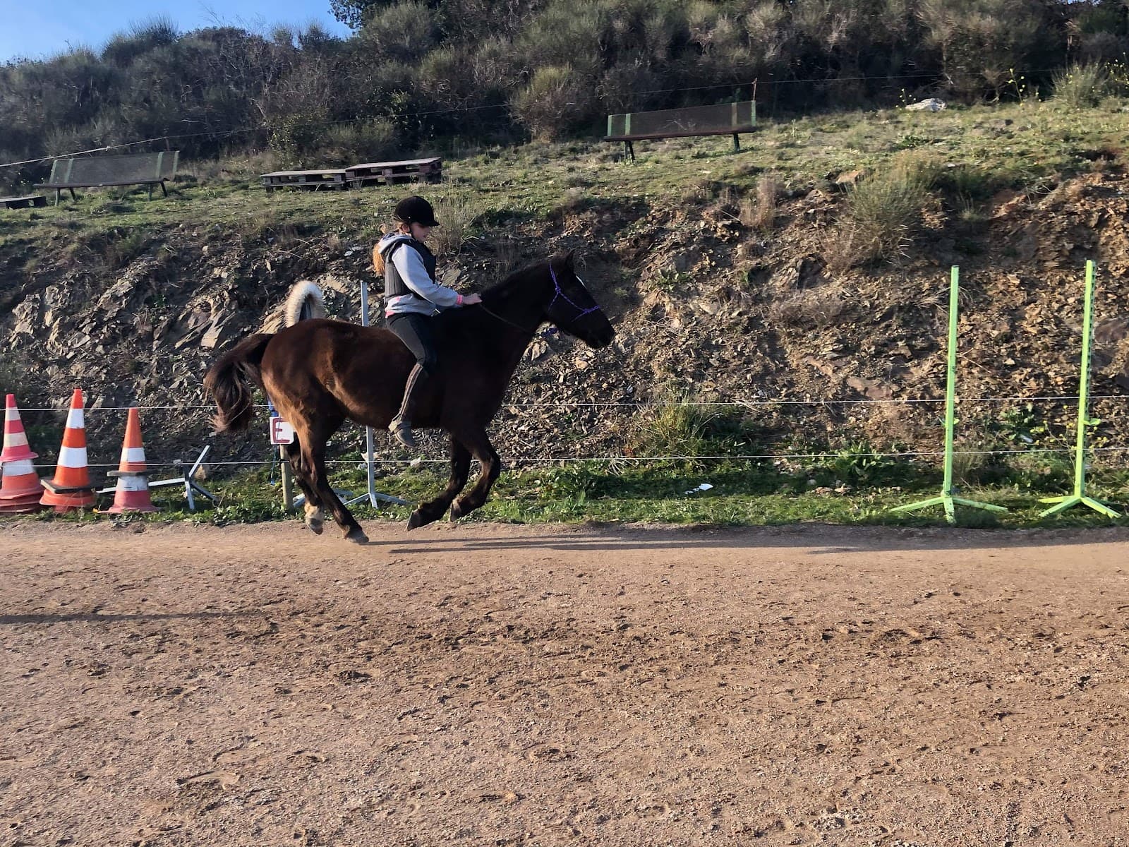 ECURIE DES GARRIGUES — photo 1