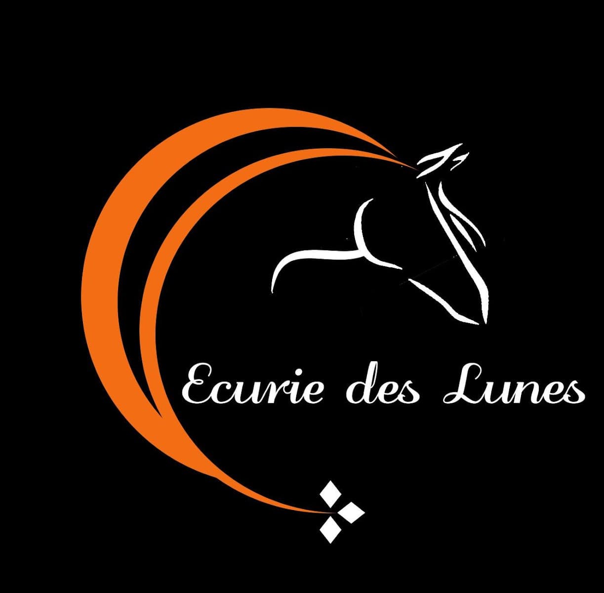 ECURIE DES LUNES — photo 1