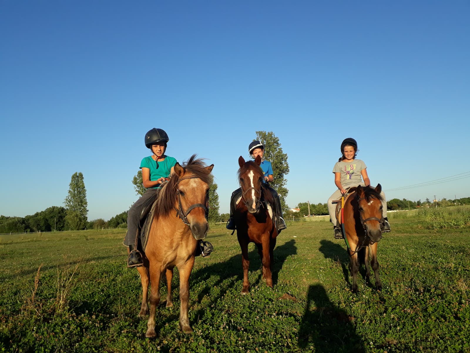 ECURIE DES MURIERS SARL — photo 1