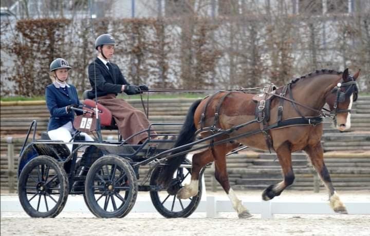 ECURIE DU BELLOIR — photo 1