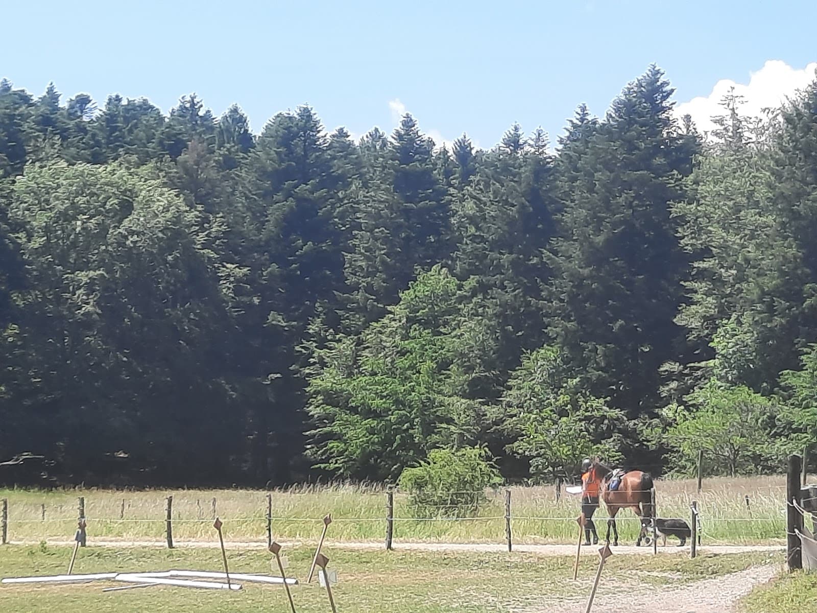ECURIE DU CLIMONT — photo 1