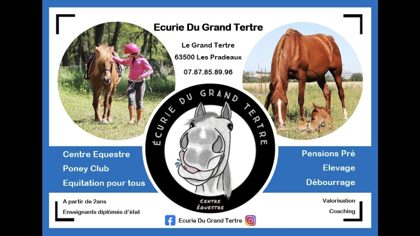 Écurie Du Grand Tertre — photo 1
