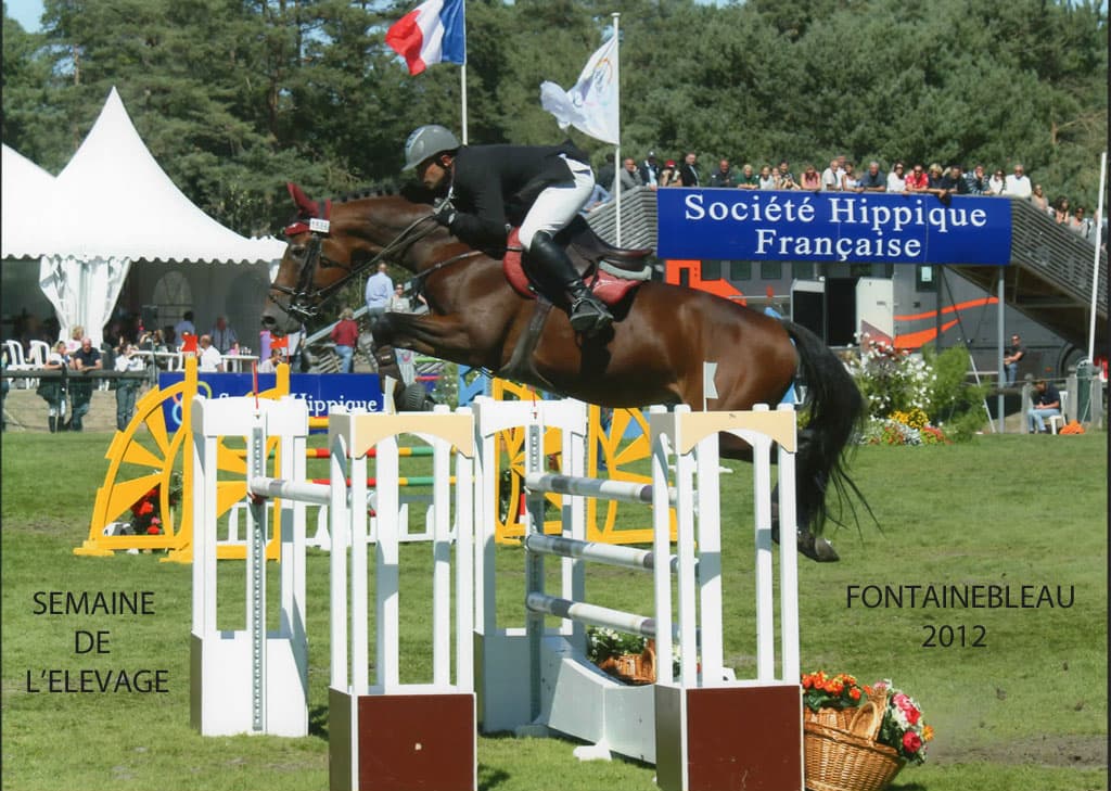 ECURIE DU MILON — photo 1