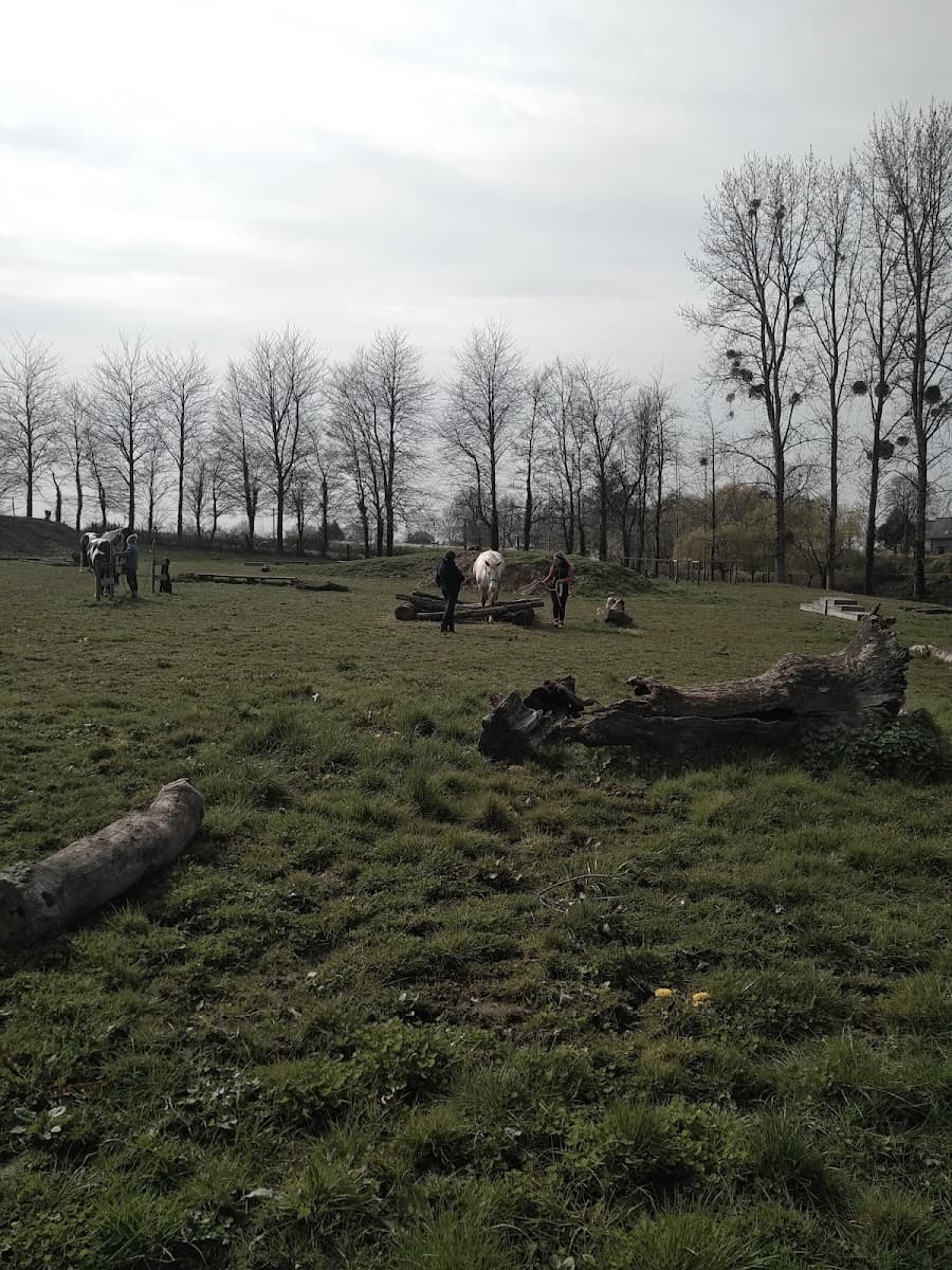 ECURIE EASY HORSE — photo 1