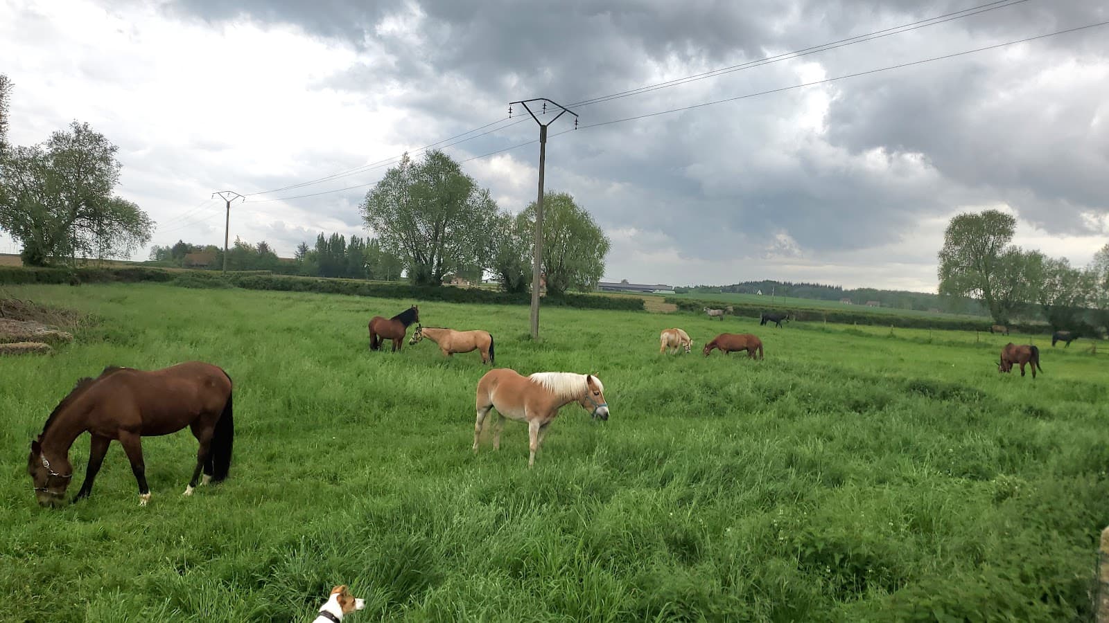 ECURIE LE LANGE VELD — photo 1