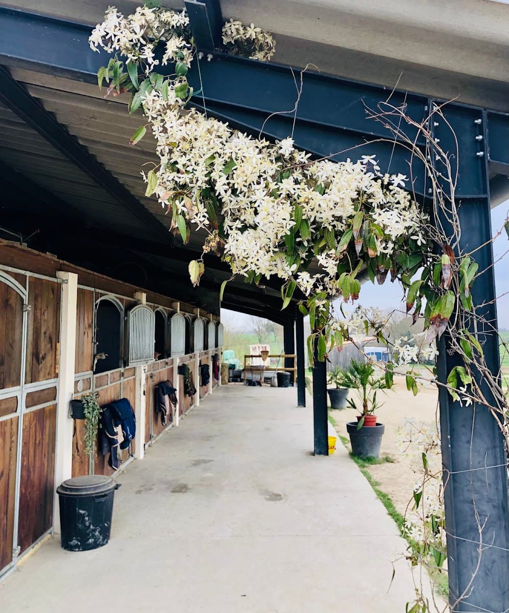 Ecurie Les Deux Chênes — photo 1