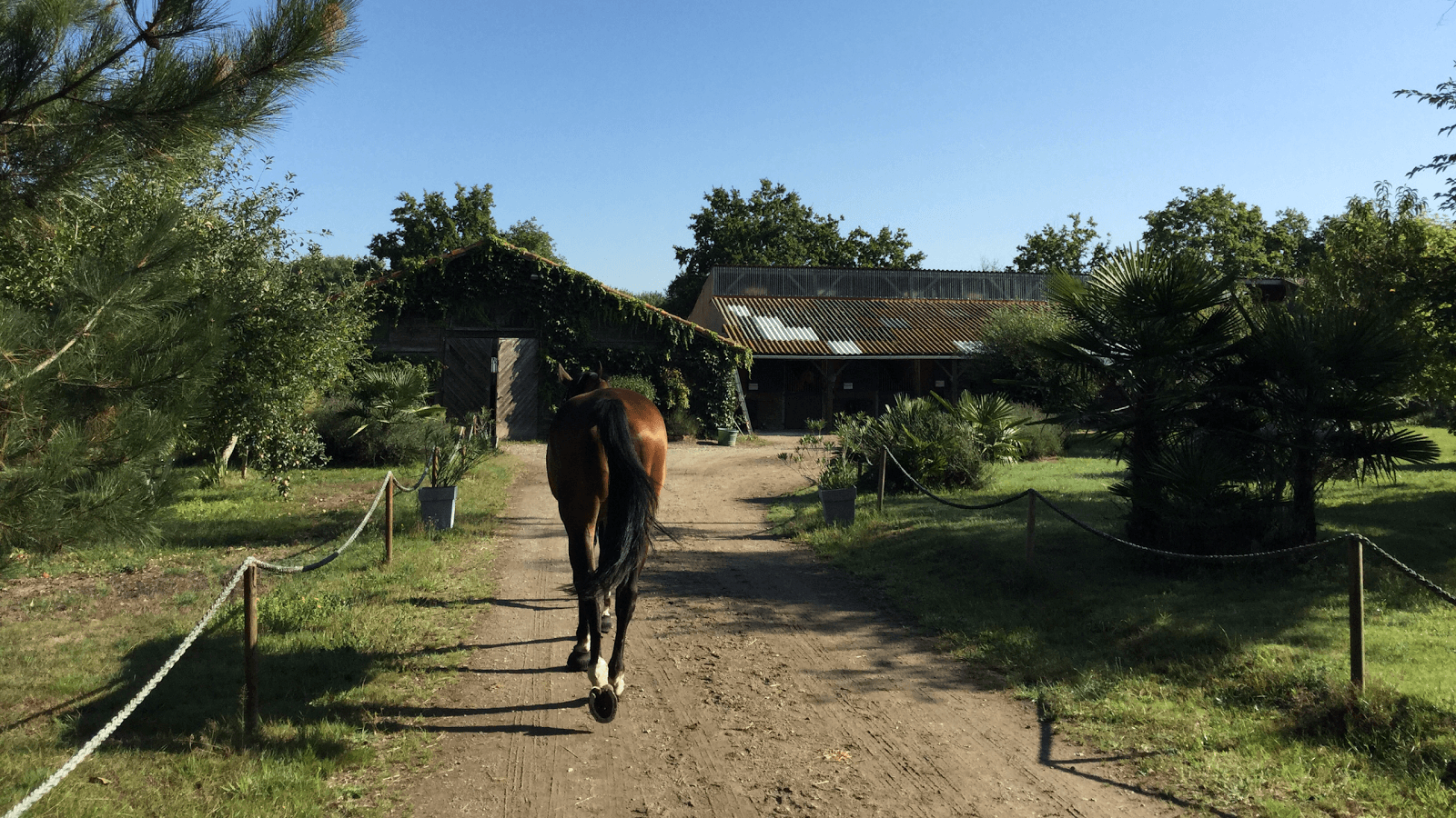 ECURIE ROMAN MONTFORT HARAS DE LA NOE — photo 1