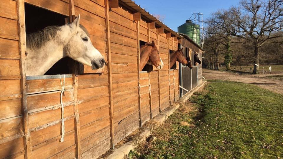ECURIE WA PONEY CLUB DE VINAUGER — photo 1