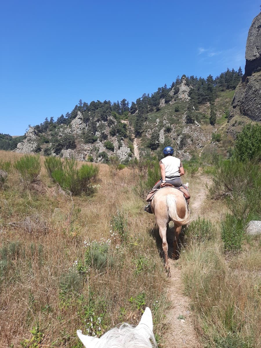 ECURIES DE L AVENTURE — photo 1