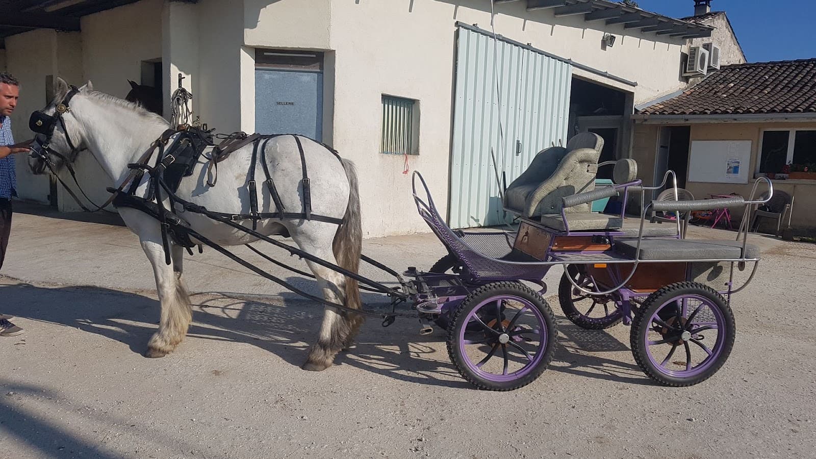ECURIES DE L OASIS — photo 1