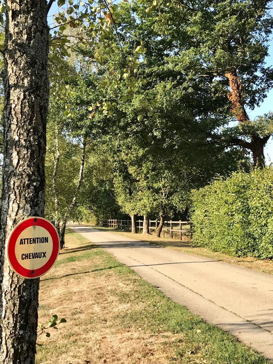 ECURIES DE LA RIONDE — photo 1