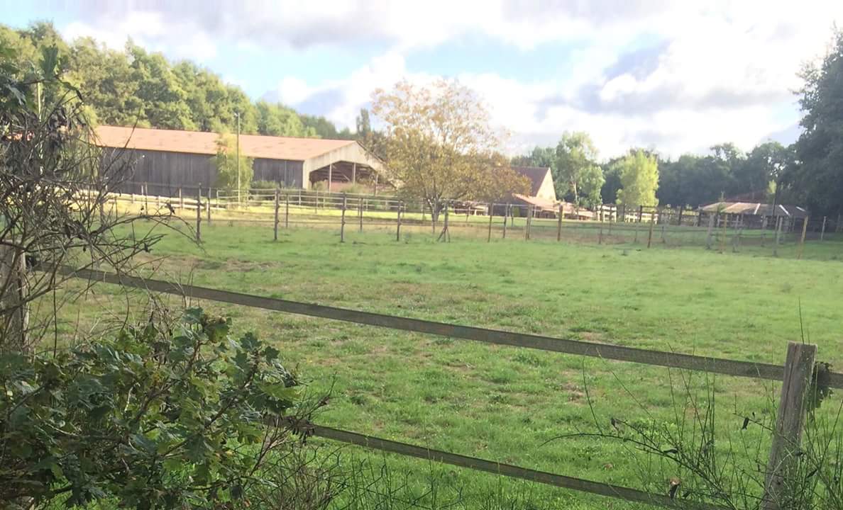 ECURIES DE LA ROCHE TURPIN — photo 1