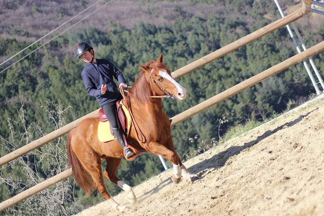 ECURIES DE LA ROYA — photo 1