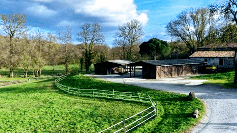 ECURIES DE LA SAUVE — photo 1