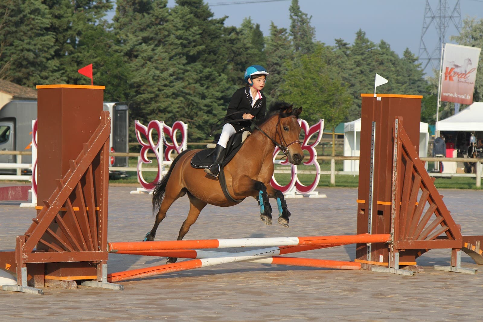 ECURIES DES DALENNES — photo 1